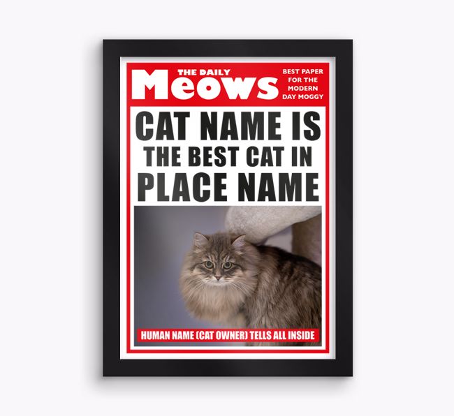 The Daily Meows, Best Cat in Town: Personalised {breedCommonName} Photo Upload Framed Print